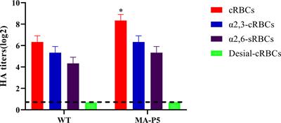 Risk of Environmental Exposure to H7N9 Influenza Virus via Airborne and Surface Routes in a Live Poultry Market in Hebei, China